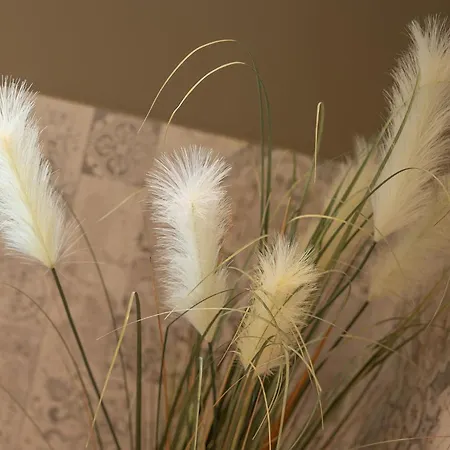 Haus Am Schwalbennest شقة Sellin (Rugen)