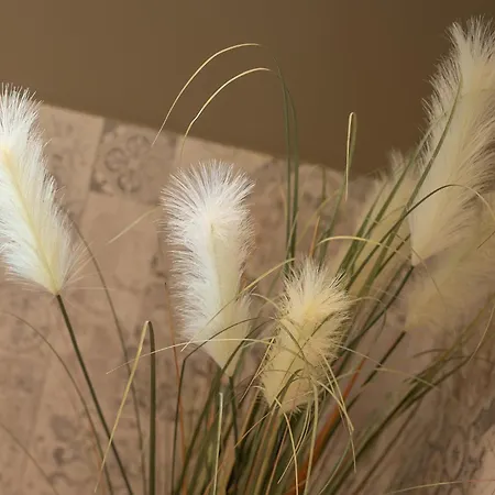 Haus Am Schwalbennest شقة *