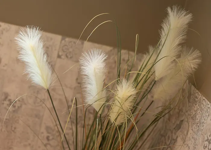 Haus Am Schwalbennest Lejlighed *